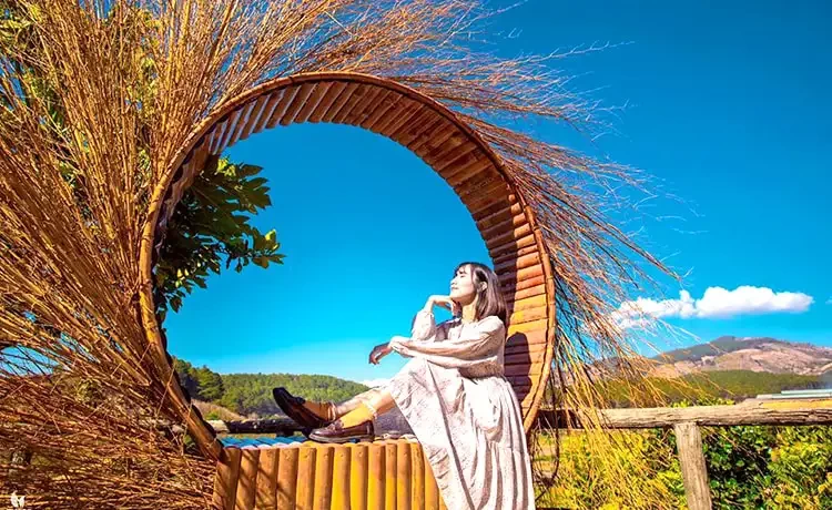 Tour tham quan Đồi chè Cầu Đất Farm Đà Lạt trong ngày