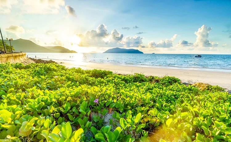 Tour du lịch Vũng Tàu - Côn Đảo 3 ngày 2 đêm bằng tàu cao tốc