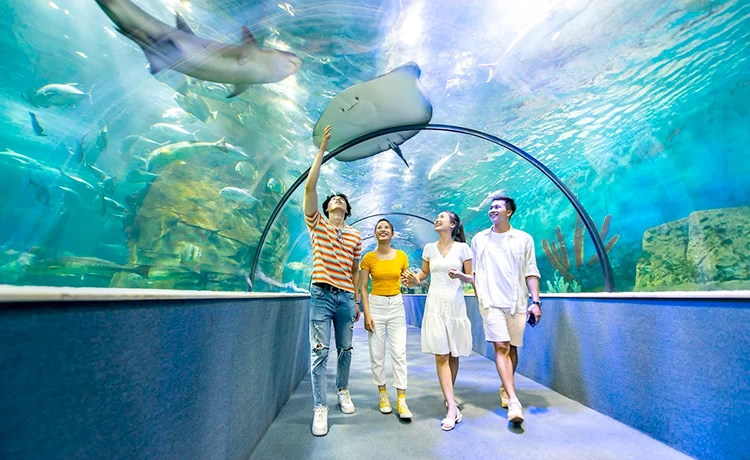 đặt vé Thủy Cung Time City (Vinpearl Aquarium)