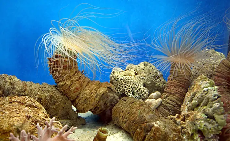 viện hải dương học nha trang