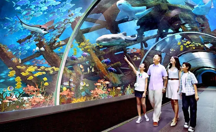 khu vui chơi vinwonders nha trang