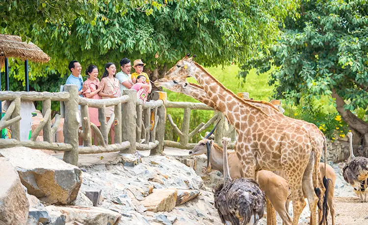 khu vui chơi vinwonders nha trang