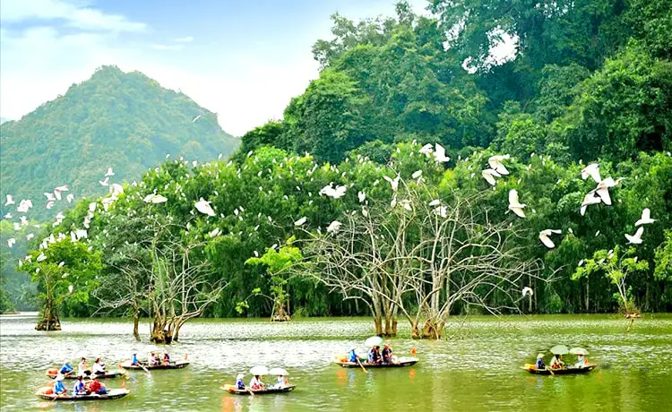 vườn chim thung nham ninh bình