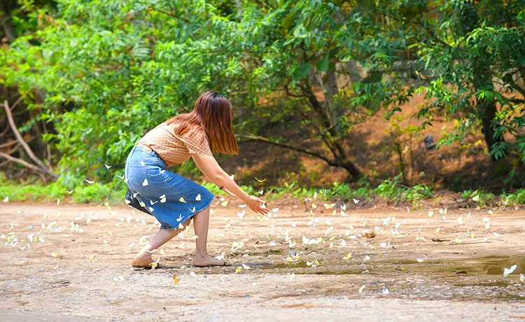 tour du lịch Ninh Bình
