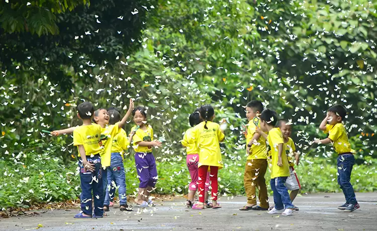 tour ninh bình 3 ngày 2 đêm
