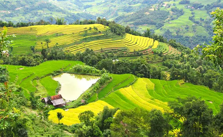 xín mần hà giang